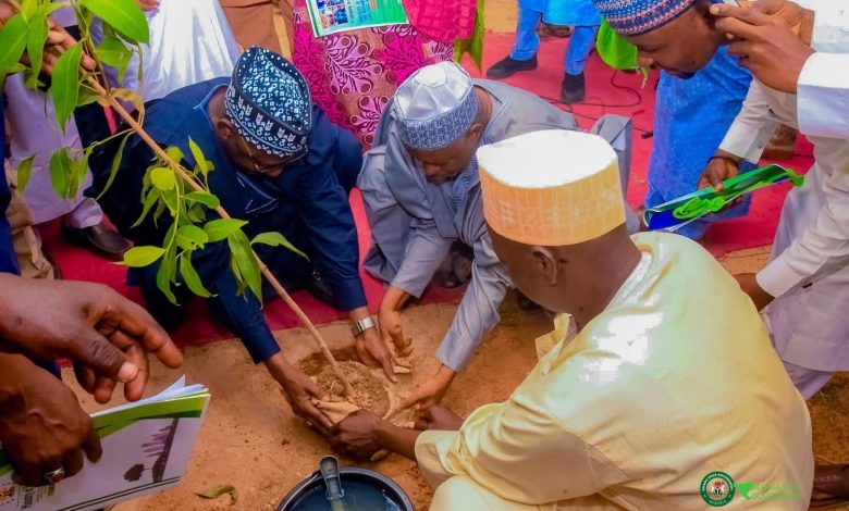 Jigawa govt launches tree planting, aims to reclaim 5,000 hectares of land Jigawa govt launches tree planting, aims to reclaim 5,000 hectares of land