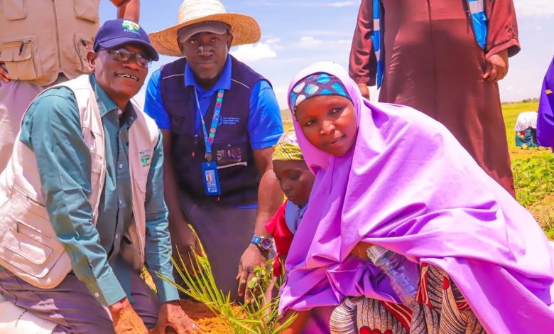 Jigawa ACReSAL, FAO launch land restoration initiative Jigawa ACReSAL, FAO launch land restoration initiative