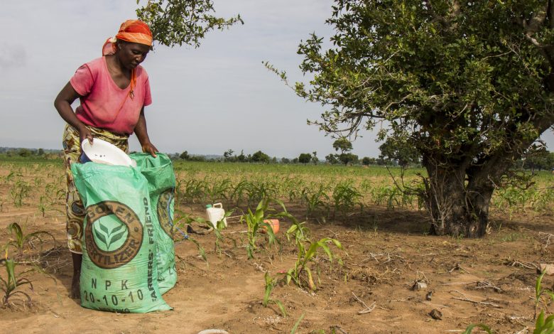 What Nigeria, Cameroon must do to stop ISWAP’s expansion in Lake Chad basin What Nigeria, Cameroon must do to stop ISWAP’s expansion in Lake Chad basin