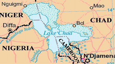 VP Shettima advocates Lake Chad revival at UN Summit on Food