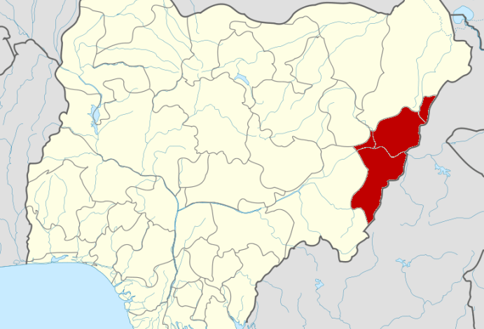 Adamawa government imposes curfew after 10 die in communal clash over farmland