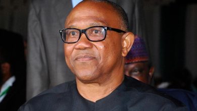 PDP has reached out to Peter Obi to return – Jerry Gana