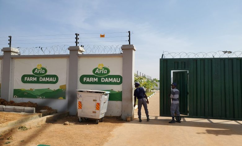 Kaduna farmers lament as govt stalls multi-billion dairy project