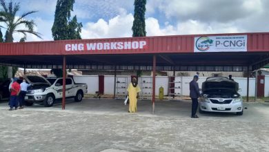 Reps begin probe of CNG policy implementation