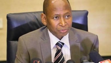Snake, lion evacuated from ex-AGF’s Kano residence