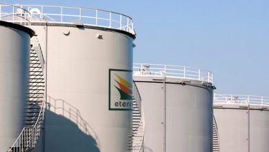 Eterna Plc revenue surge by 71% in 2024