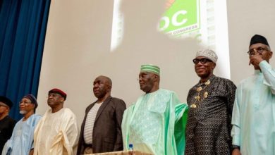 Coalition Will Rescue Nigeria From Collapse, Rebuild Democracy, Says David Mark