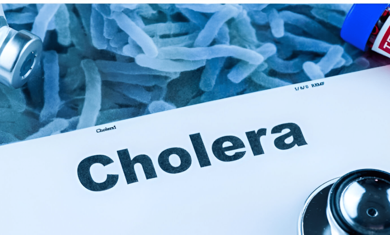 Cholera: 12 killed, 230 hospitalised in Niger