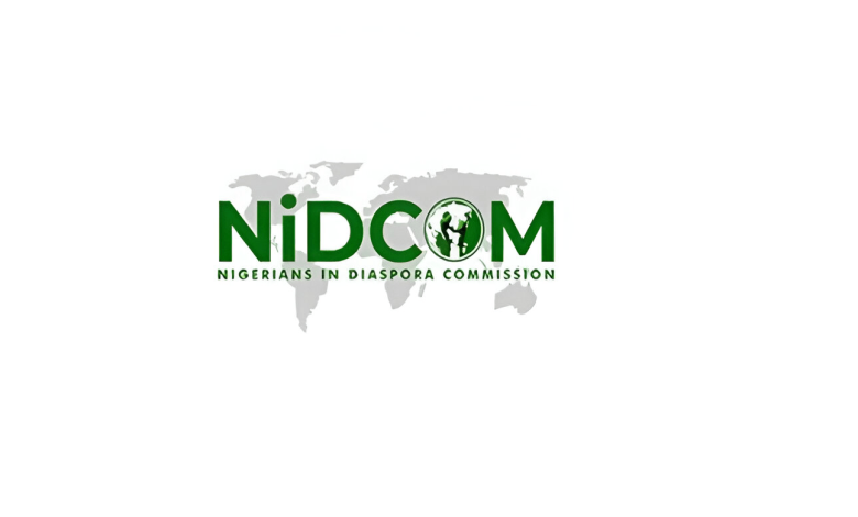 NiDCOM commences rescue of Nigerians stranded in Central African Republic