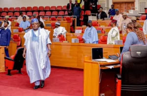 Lagos Assembly tackles Sanwo-Olu over local government law