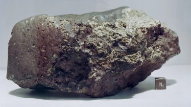 Mars meteorite found in Niger, controversially sold in US