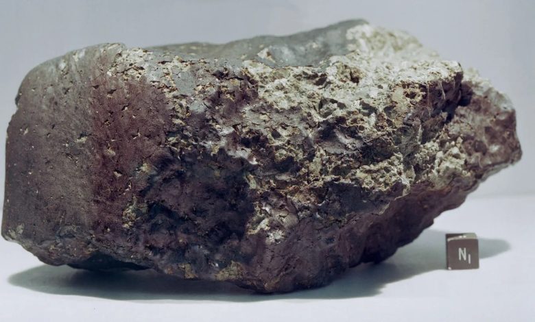 Mars meteorite found in Niger, controversially sold in US