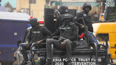 Police arrest 24 crime suspects in Minna sting operation