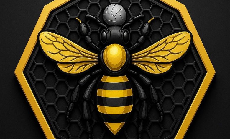 Sadiq Umar, Bello El-Rufai secure ownership rights of Rancher Bees FC Sadiq Umar, Bello El-Rufai secure ownership rights of Rancher Bees FC