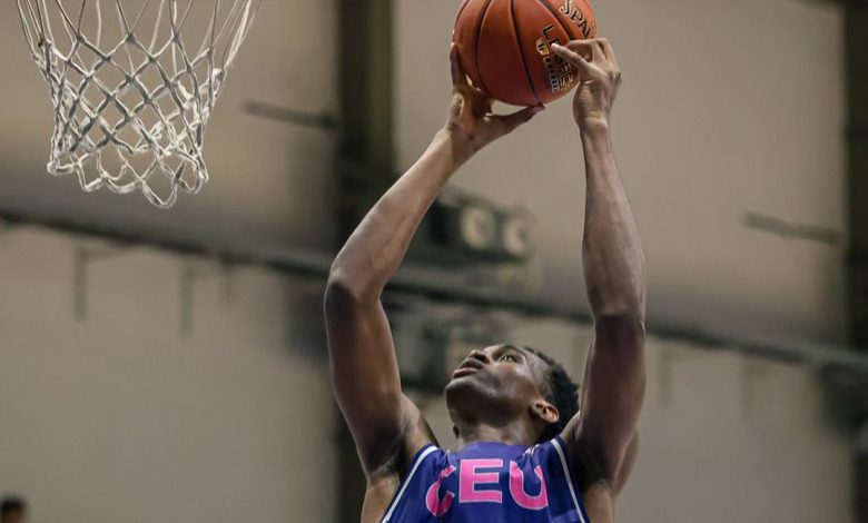 Nigerian basketball player dies during training