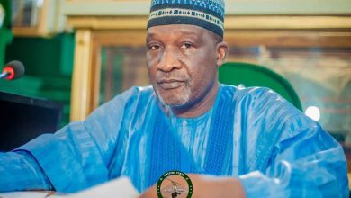 Tears in parliament as lawmaker laments incessant bandit killings in Katsina