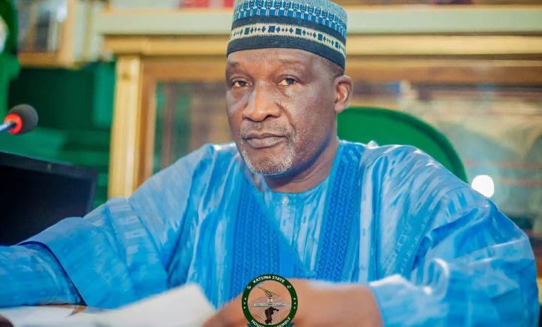 Tears in parliament as lawmaker laments incessant bandit killings in Katsina