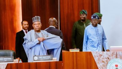 Tinubu endorses ward-based development strategy for Nigeria’s 8,809 Wards