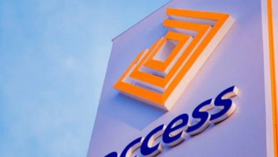 Access Holdings Plc gets new CEO