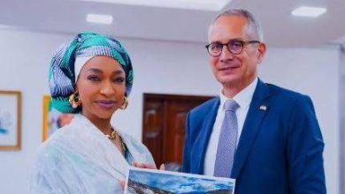 Nigeria, Switzerland meet on repatriation of artifacts, cultural cooperation