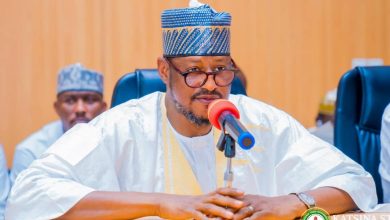 Katsina gov unveils special schools for gifted children, others