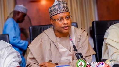 Military alone can’t defeat terrorism, says Nigerian governor