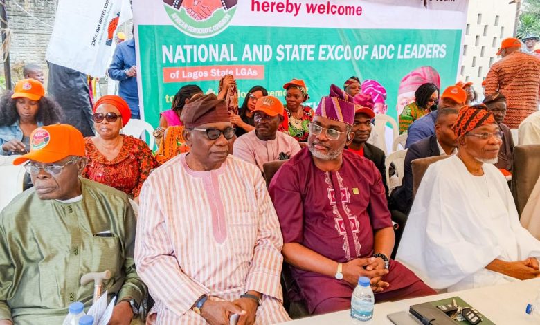 Why we defected to ADC – Ex-Lagos PDP chairpersons, others Why we defected to ADC – Ex-Lagos PDP chairpersons, others