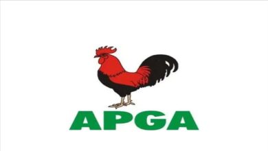 Bye-Elections: APGA wins senatorial, assembly seats in Anambra