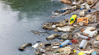 ANALYSIS: High Stakes in Geneva as countries, experts discuss addressing plastic pollution