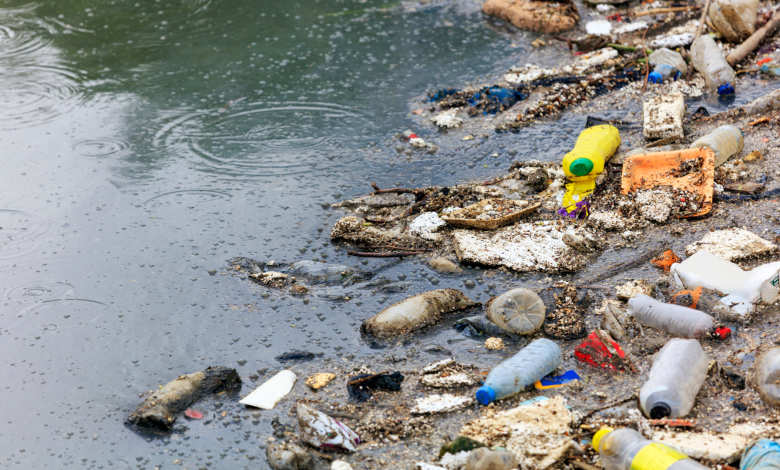 ANALYSIS: High Stakes in Geneva as countries, experts discuss addressing plastic pollution