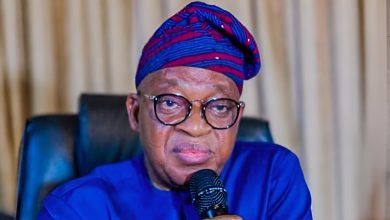 FG renews commitment to revitalising Niger port