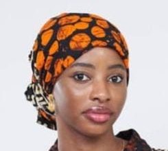 AI vs. human insight: Reflections on a WSCIJ seminar, By Aisha Ibrahim Halilu