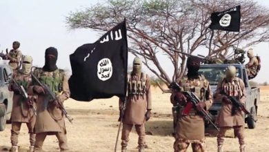 Bandits kill 11, abduct many in Zamfara community