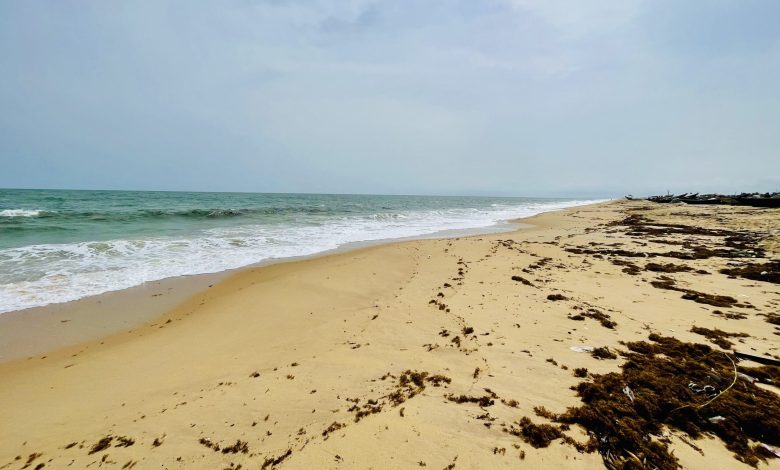 SPECIAL REPORT: Women-led farming suffers as saltwater swallows Ondo riverine community SPECIAL REPORT: Women-led farming suffers as saltwater swallows Ondo riverine community