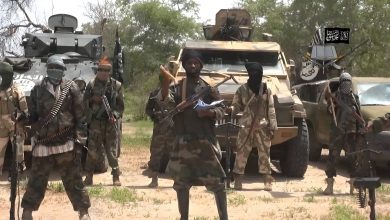 Boko Haram terrorists kill five farmers in Borno