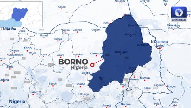Two Boko Haram Commanders, 11 Others Killed In Foiled Borno Attack
