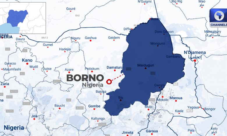Two Boko Haram Commanders, 11 Others Killed In Foiled Borno Attack Two Boko Haram Commanders, 11 Others Killed In Foiled Borno Attack