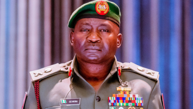 How Troops Arrested Ansaru Terrorists – CDS Musa