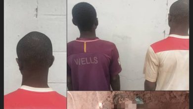 Man abducts, kills 5-year-old cousin after parents failed to pay ransom – Police