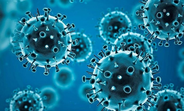 PT Health Watch: How untreated vaginal infections impact women’s health, fertility PT Health Watch: How untreated vaginal infections impact women’s health, fertility
