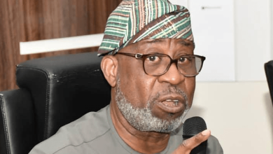 Minister orders shutdown of illegal gold site in Abuja