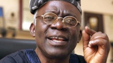 Falana Slams S’West Govs Over Poor Governance, Reckless Spending