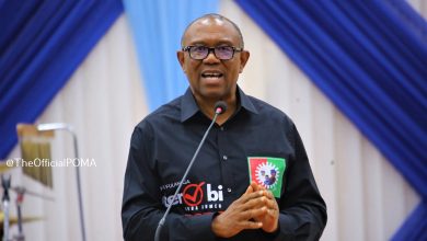 Why I want to serve only one term if elected President – Peter Obi