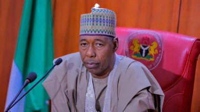 Borno governor unveils plan to rejuvenate education sector