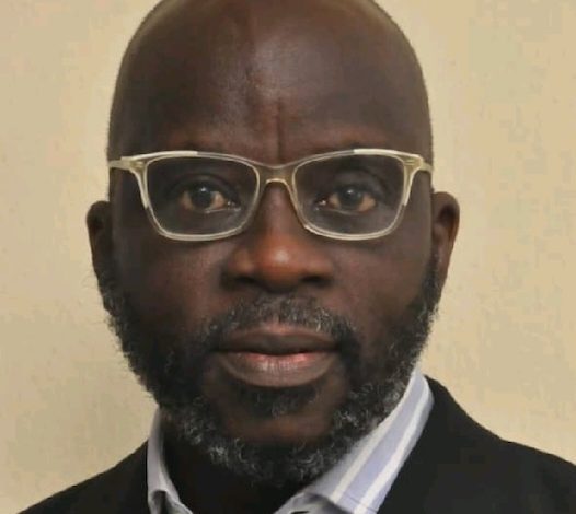 The Peter Obi vow, By Gbemiga Ogunleye The Peter Obi vow, By Gbemiga Ogunleye