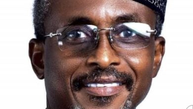 Concrete jungle vs green oasis: What kind of Lagos are we building? (1), By Gbenga Onabanjo
