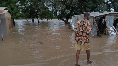 Government urges evacuation from high-risk areas as floods ravage Niger communities