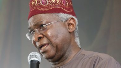 How Nigeria can use sports to solve youth unemployment – Fashola