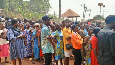 By-election: IReV performed well in Oyo, Jigawa, worse in Enugu, Kano — Report