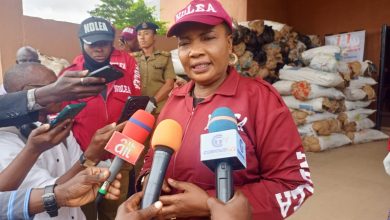 NDLEA seizes multi-million naira Cannabis in Kwara, arrests four suspects